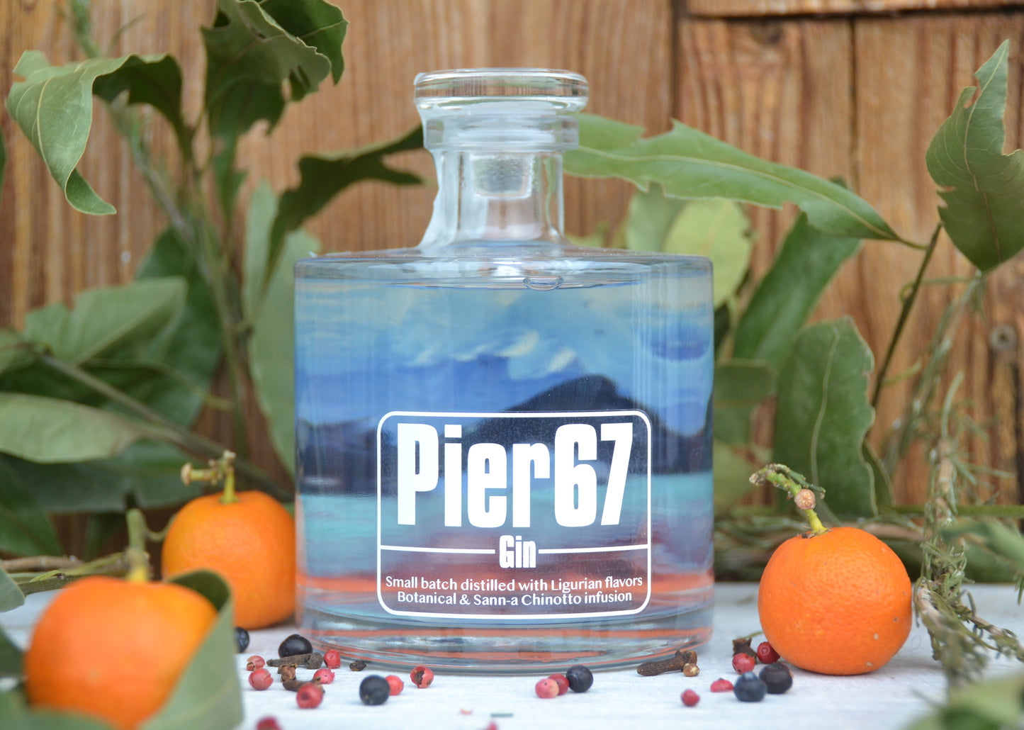Pier67 Gin - 50cl
